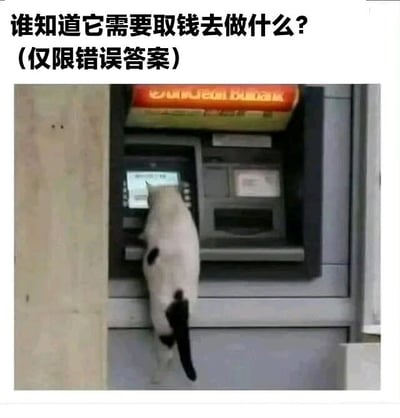 图片中一只黑白相间的猫咪正站立在ATM机前，前爪似乎在操作屏幕，姿态宛如人类取钱。图片上方配有文字“谁知道它需要取钱去做什么？（仅限错误答案）”，通过拟人化的场景和趣味提问，引导观众发挥想象力给出搞笑的错误答案，整体风格轻松幽默。