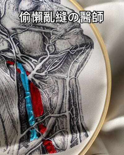 图片展示了一个刺绣 hoop 中的作品，背景是黑白精细的人体解剖图（包含肌肉和血管纹理）。在严谨的解剖结构上，叠加了几处潦草的红蓝刺绣线，走线杂乱无章，与下方精准的医学插画形成强烈反差。顶部有文字“偷懒乱缝の醫師”，以幽默方式调侃这种“敷衍式缝合”，仿佛是一位偷懒的医生留下的“手术缝合”痕迹。