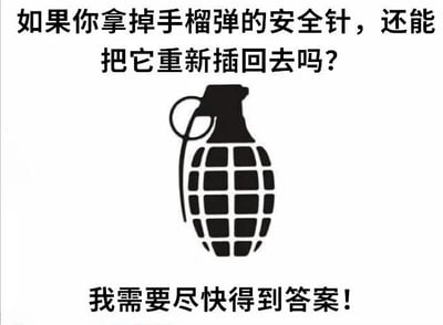 图片为白色背景，上方有黑色文字'如果你拿掉手榴弹的安全针，还能把它重新插回去吗？'，中间是一个黑色手榴弹简笔画图标，下方文字'我需要尽快得到答案！'。整体构图简洁，通过文字和图标结合提出一个关于手榴弹安全操作的疑问。