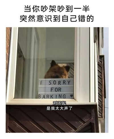 这是一张贴合日常社交情绪的搞笑梗图，顶部配有文字“当你吵架吵到一半突然意识到自己错的”，图中一只松狮犬躲在住宅窗户后方，举着写有英文“I SORRY FOR BARKING（我为吠叫道歉）”的灯牌，下方配有中文“对不起 是我太大声了”。图片将狗狗为吠叫道歉的场景拟人化，生动地表现出人们在争吵过程中突然发现自己错误后，既愧疚又有些窘迫的心态，用可爱的动物形象和生活化的场景形成反差，精准戳中人们在社交中的类似尴尬时刻，具有很强的共鸣感和趣味性。