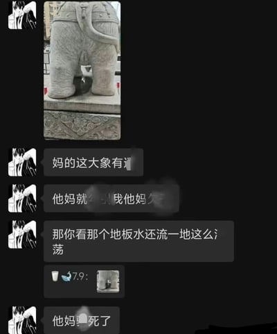 这是一张网络聊天记录截图，左侧发言用户的头像是黑白动漫男性形象，其首先发布了一张户外石雕大象的后侧视角实拍图，随后连续发送多条带有脏话、情绪十分激动的吐槽消息，称自己误以为石雕大象的下体部位看起来像是在流水，淌了一地；另有一名头像为牛奶加鲸鱼标识、昵称为“7.9”的用户回复了同一张大象照片，此前发言的用户见状情绪更加激动，再次发布脏话吐槽。整体内容来源于视觉错觉产生的误会，风格搞笑荒诞。
