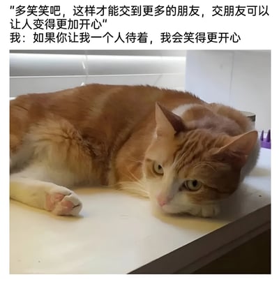 图片上方配有两行文字，第一行为建议性语句：'多笑笑吧，这样才能交到更多的朋友，交朋友可以让人变得更加开心'，第二行为第一人称回应：'我：如果你让我一个人待着，我会笑得更开心'。下方是一只橘白相间的猫，正慵懒地趴在白色台面上，眼神平静，姿态放松，整体营造出一种偏爱独处的轻松氛围。