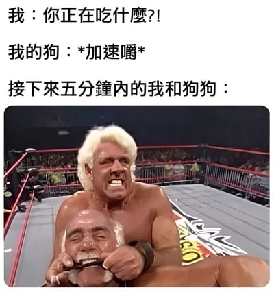 这是一张幽默梗图，上方文字描述了主人发现狗狗正在吃东西的场景，狗狗以加速咀嚼作为回应。下方配图是一张职业摔跤比赛的截图，一位金发摔跤手正用力压制另一位对手，夸张地表现了接下来五分钟内主人与狗狗之间可能发生的激烈