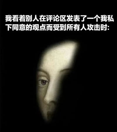 这张梗图上方是白色文字："我看着别人在评论区发表了一个我私下同意的观点而受到所有人攻击时:"，下方是一幅古典油画风格的图像，展示了一张从黑暗中部分显现的脸，表情谨慎而略带恐惧，仿佛在暗中观察。这种构图完美表达了在网络上看到他人因发表自己也认同的争议性观点而被攻击时的复杂心情，既有认同又有不敢发声的恐惧。