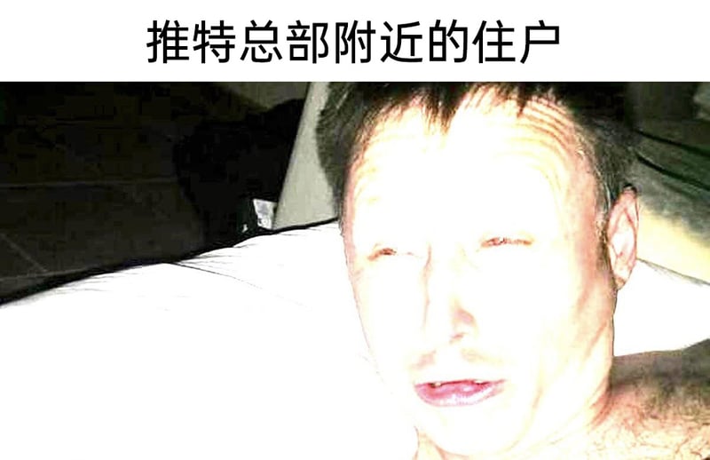 企业家，X平台（原推特）的所有者
