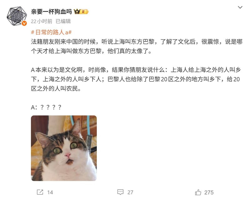 惊讶猫