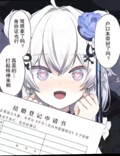 一张动漫风格的梗图，画面中有一位白发紫眼的动漫少女，头上戴着一朵蓝色的花。她双手拿着一张结婚登记申请书，脸上带着兴奋的表情。少女周围有三个对话气泡，分别写着：'驾照拿了吗？身份证也行'、'户口本带好了吗？'和'真是的...打起精神来啊'。图片通过可爱的动漫形象和结婚登记的正式文件形成反差萌，营造出一种期待又有点小紧张的氛围。