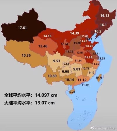 这是一张以中国省级行政区地图为底图的网络恶搞趣味图，网传图中标注的数值为对应地区男性阴茎勃起长度（单位：cm）。图中通过颜色深浅区分数值高低，颜色越深代表数值越高：新疆地区数值最高，为17.61cm；四川地区数值最低，为9.53cm。同时图中还标注了全球平均水平为14.097cm，中国大陆平均水平为13.07cm。该图属于无科学依据的网络调侃内容，仅用于趣味娱乐，不具备学术参考价值。