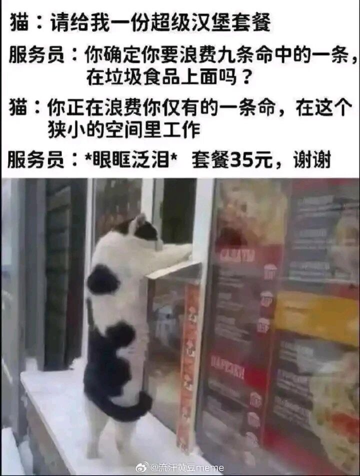 快餐店服务员