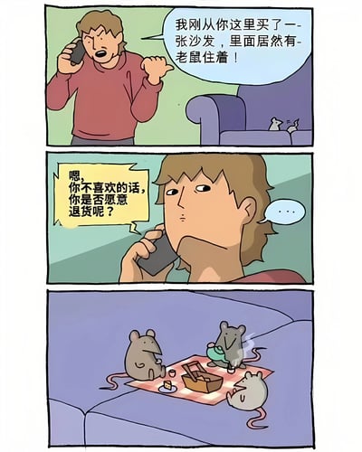 这是一幅三格搞笑漫画。第一格中，一位穿红色上衣的男子正在愤怒地打电话，喊道："我刚从你这里买了一张沙发，里面居然有老鼠住着！"，背景中可以看到紫色沙发上有两只小老鼠。第二格显示电话另一端的人平静地回应："嗯，你不喜欢的话，你是否愿意退货呢？"。第三格揭示了沙发内部的场景：三只老鼠正在沙发上用格子餐布进行野餐，它们围着小篮子和茶杯，显得十分惬意。漫画通过展示老鼠在沙发里舒适生活的反差场景，制造出幽默效果。
