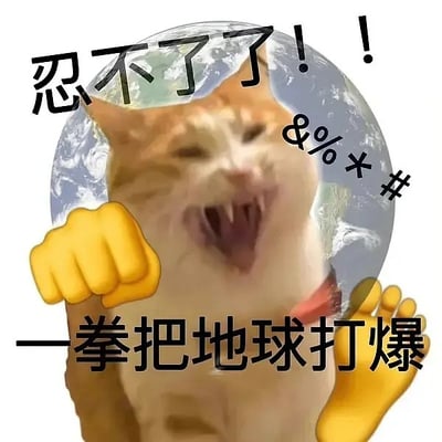 这是一张猫猫表情包，画面中央是一只表情愤怒、张着嘴的橘猫，猫前面合成了两个卡通拳头，看起来挥拳欲打。背景则是地球图像，图中配字“忍不了了！！一拳把地球打爆”，表达了极度崩溃或愤怒到极致的情感。这张图常用来表达网友情绪被彻底点燃，已经到了‘要爆炸’的边缘。

有明显的夸张和拟人手法，属于‘崩溃型怒火’猫猫图。没有辱骂但带有‘暴力’夸张效果，使用@#%*等字符强化情绪。

没有双关和谐音梗，但有明显的网络搞笑和情绪宣泄暗示。