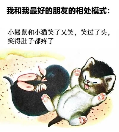 图片上方配有文字“我和我最好的朋友的相处模式：小鼹鼠和小猫笑了又笑，笑过了头，笑得肚子都疼了”，下方是卡通风格插画，描绘了一只黑色小鼹鼠和一只灰白相间的小猫在地上打滚大笑的场景，两者都露出开心的表情，爪子张开，身体蜷缩，生动展现了好朋友之间轻松愉快、无拘无束的相处状态，整体氛围温馨搞笑。