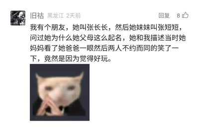 这是一张社交媒体评论截图，来自用户“旧祜”，分享了朋友家的搞笑趣事：朋友名叫张长长，妹妹叫张短短，询问父母起名原因时，父母相视一笑，给出的理由仅仅是觉得好玩。评论下方搭配了一张网络流行的Meme猫表情包，猫咪被拟人化处理，双手放在嘴边，眼神模糊，神态传递出无语又好笑的情绪，与文字内容的荒诞搞笑感形成呼应，让这个充满趣味的生活趣事更具笑点和传播力。