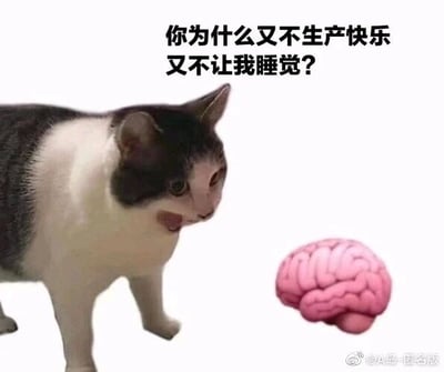 这是一张P图改编的静态图文混排网络meme图，画面中一只黑白花色的猫咪表情烦躁，嘴巴大张，仿佛在向旁边的粉色大脑图案发出质问，图上方配有文字“你为什么又不生产快乐又不让我睡觉？”。该图通过拟人化的手法，将大脑与情绪、睡眠的关系具象化，精准吐槽了当代人在生活压力下，既无法获得愉悦情绪，又饱受睡眠困扰的烦躁状态，容易引发大众的情绪共鸣。针对图中的质问，其实是因为当人处于焦虑、压力较大的状态时，大脑会持续处于过度活跃的思考状态，既难以分泌足够让人产生愉悦感的神经递质，又会因为思绪繁杂而无法进入放松的睡眠状态，这也是当代很多人面临的情绪与睡眠困境。
