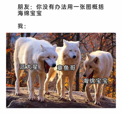 这是一张趣味十足的网络梗图，图中上方是一段对话：朋友提出“你没有办法用一张图概括海绵宝宝”，下方则是作者给出的回应——一张有三只神态不同的北极狼的照片，作者为三只狼分别标注了《海绵宝宝》中的三个核心角色：左侧张嘴露齿、神态兴奋夸张的狼对应神经大条、时常做出夸张举动的派大星；中间面无表情、神态冷漠的狼对应性格孤僻、总是厌世脸的章鱼哥；右侧吐着舌头、神态活泼的狼对应永远充满活力、性格跳脱的海绵宝宝。通过狼的神态完美契合了三个角色的经典性格，精准地用一张图完成了对海绵宝宝核心角色的概括，充满创意与趣味性。