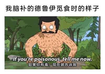 这是一张针对TRPG（桌上角色扮演游戏）中德鲁伊职业创作的搞笑梗图。图上方配有中文标题“我脑补的德鲁伊觅食时的样子”，主体内容是美国动画《开心汉堡店》里的角色鲍勃·贝尔彻，他赤裸上身，胸口和双手捧着绿色植物，双眼圆睁，神情紧张又带着一丝期待，仿佛在和植物对话。图下方配有英文台词“If you're poisonous, tell me now.”及其中文翻译“如果你有毒，现在就告诉我”。这张图用拟人化的搞笑方式，脑补德鲁伊在野外觅食时，面对陌生植物，忐忑不安地希望植物能“主动告知是否有毒”的滑稽心态，将现实中无法与植物沟通的情况用荒诞的方式呈现，精准戳中玩家对德鲁伊职业的趣味想象，充满幽默效果。