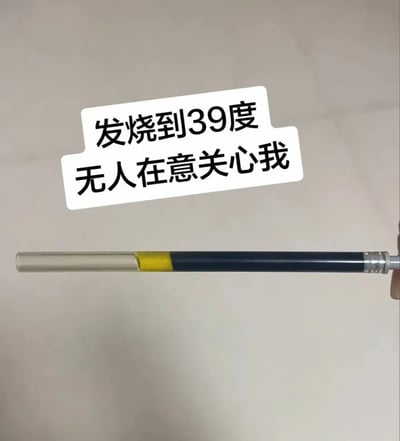 一张展示发烧到39度却无人关心的梗图。图片中一只手拿着体温计，体温计显示39度，上方配有文字“发烧到39度 无人在意关心我”，表达了生病时的孤独和被忽视感。