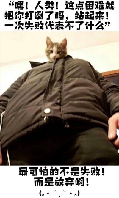 图片上方和下方配有励志文字，中间是一只猫咪的头部从黑色羽绒服领口探出来，仿佛穿着宽大外套的猫咪在对人类喊话。上方文字为“嘿！人类！这点困难就把你打倒了吗，站起来！一次失败代表不了什么”，下方文字为“最可怕的不是失败！而是放弃啊！(。・∀・)ノ゛”。通过猫咪与宽大外套的反差萌，以幽默方式传递积极向上、鼓励面对失败的正能量。