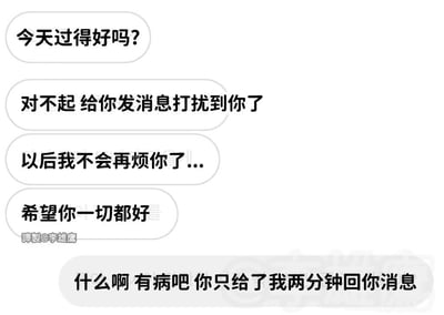 这是一张模拟社交软件聊天界面的静态截图，上方连续四条消息都由发起聊天的一方发送，内容依次是「今天过得好吗？」「对不起 给你发消息打扰到你了」「以后我不会再烦你了...」「希望你一切都好」，呈现出发起方默认对方不想理自己，提前卖惨告别的姿态；下方接收方回复为「什么啊 有病吧 你只给了我两分钟回你消息」，戳破了发起方只给对方极短回复时间就自我加戏的行为，图片整体调侃了社交中部分人自我感动、道德绑架对方的聊天模式，左下角带有翻译转载标注水印。