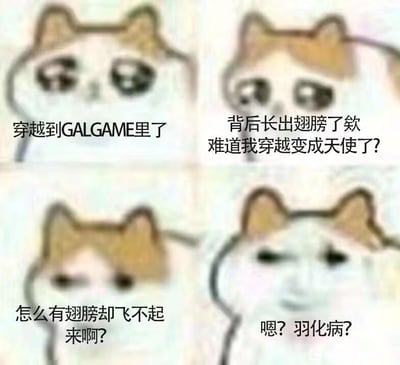 这是一张四格漫画形式的梗图，主角是一只表情丰富的卡通猫咪。第一格猫咪说"穿越到GALGAME里了"，表现出惊讶的表情；第二格猫咪发现自己背后长出翅膀，疑惑地问"难道我穿越变成天使了?"；第三格猫咪困惑为什么有翅膀却飞不起来；第四格猫咪恍然大悟说出"嗯? 羽化病?"，形成幽默反转。整个梗图通过猫咪的表情变化和对话，讲述了一个从以为变成天使到发现可能是生病的搞笑故事。