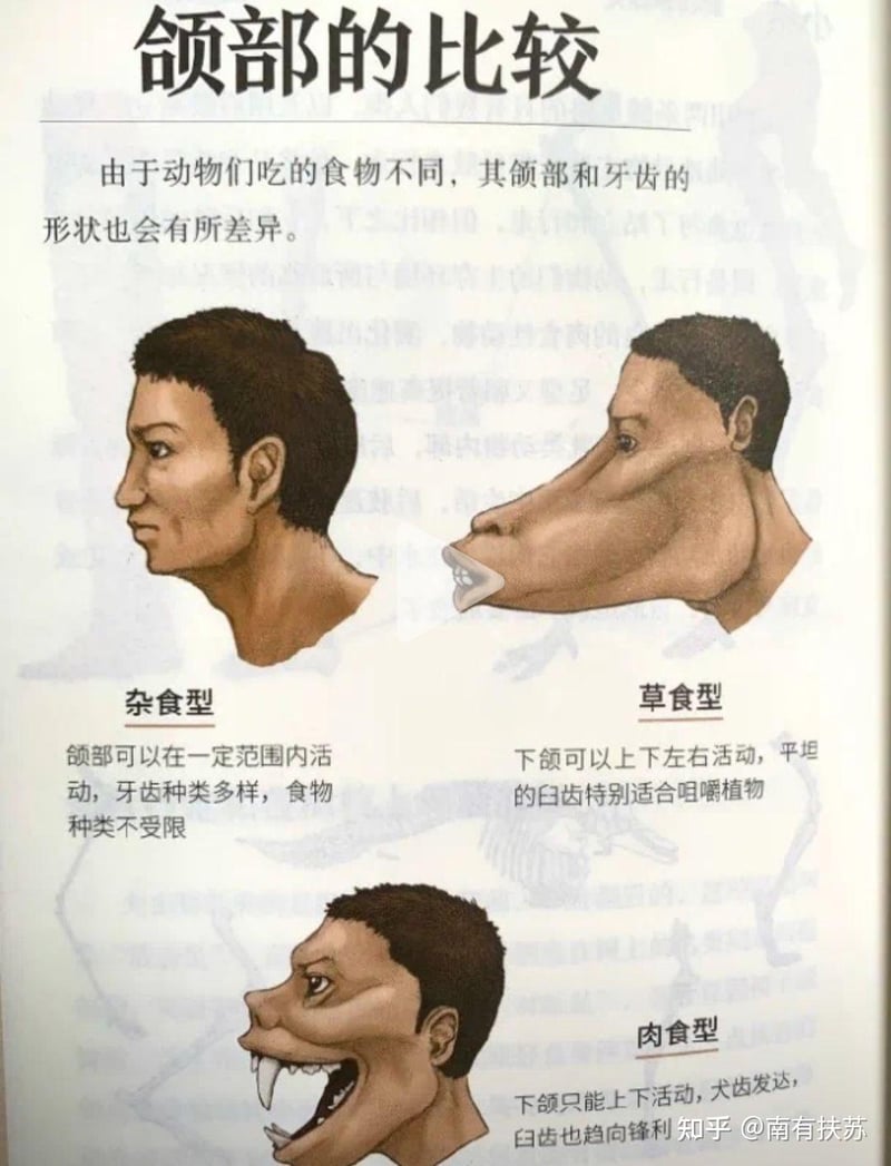 原创科普合成图