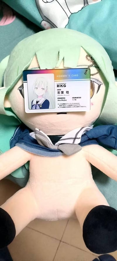 这是一张ACGN爱好者的趣味整活图，将《BanG Dream! Ave Mujica》角色若叶睦的LIVE HOUSE RiNG会员证挂件，挂在一个绿发水手服毛绒玩具的脸部位置，遮挡住了毛绒玩具的脸，形成错位的搞笑效果，没有双关或谐音梗内容。
