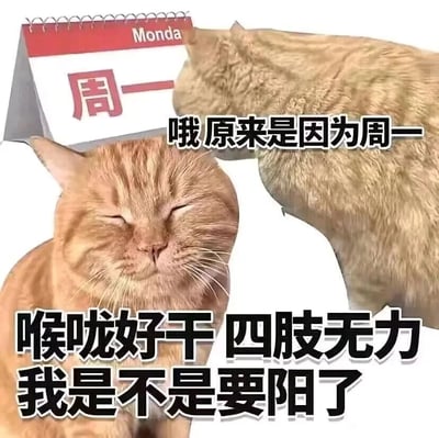 这是一张充满趣味的合成搞笑表情包，画面中包含两只橘猫和一个台历元素。下方的橘猫双眼紧闭，表情萎靡不振，配文“喉咙好干 四肢无力 我是不是要阳了”，模仿人们出现身体不适时怀疑感染新冠的心态；上方的橘猫旁摆放着印有“周一（Monda）”字样的台历，配文“哦原来是因为周一”，揭晓身体不适的真正原因是周一综合征。整幅图用拟人化的猫咪状态，精准调侃了打工人在周一上班时普遍存在的疲惫、无力的精神和身体状态，将新冠感染的症状梗与周一上班的痛苦结合，引发打工人的强烈共鸣，充满幽默与生活化的气息。