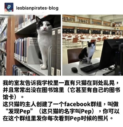 这是一张左右对比的双图拼接梗图，展示了一只名叫Pep的黑白相间猫咪在校园图书馆的两种不同场景。左侧图片中，Pep好奇地坐在图书馆的书架之间，周围是排列整齐的书籍；右侧图片中，Pep则淡定地坐在图书馆的电脑桌前，仿佛在使用电脑。图片下方配有文字说明，讲述这只校园名猫的故事：它经常在图书馆出没，甚至有自己的图书馆卡，主人还为它创建了名为“发现Pep”的Facebook群组，供大家分享遇到它时的照片。