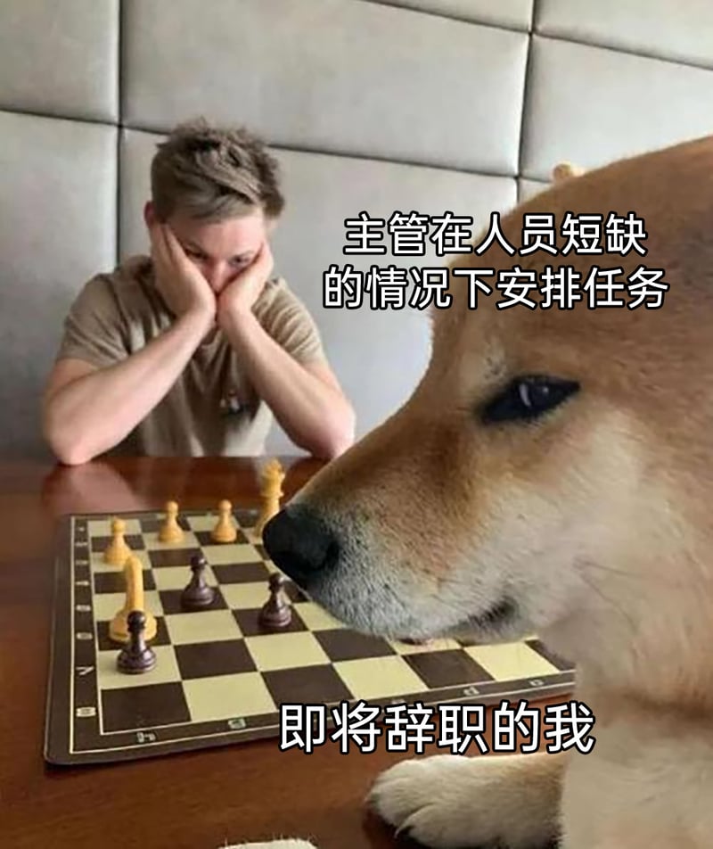 公司员工