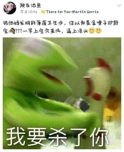 这是一条国内社交平台的用户动态截图，发布者“殃及池鱼”在10:46发布该内容，附带背景音乐《There for You-Martin Garrix》。文案中用谐音梗和调侃的语气吐槽薄荷卫生巾：“谁他妈发明的薄荷卫生巾，你以为是金嗓子护舒宝🐴???一早上空穴来风，逼上凉山😒😒”，其中“空穴来风”调侃薄荷卫生巾带来的清凉感仿佛有风吹过，“逼上凉山”谐音“逼上梁山”，以此表达自己被这种清凉感折磨得难以忍受的烦躁情绪。下方搭配了一张二次创作的科米蛙表情包，图中的科米蛙表情扭曲、动作夸张，配文“我要杀了你”，用极具冲击力的视觉效果放大了发布者的愤怒，生动地传递出对薄荷卫生巾不适体验的强烈不满。