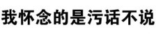 我怀念的是污话不说