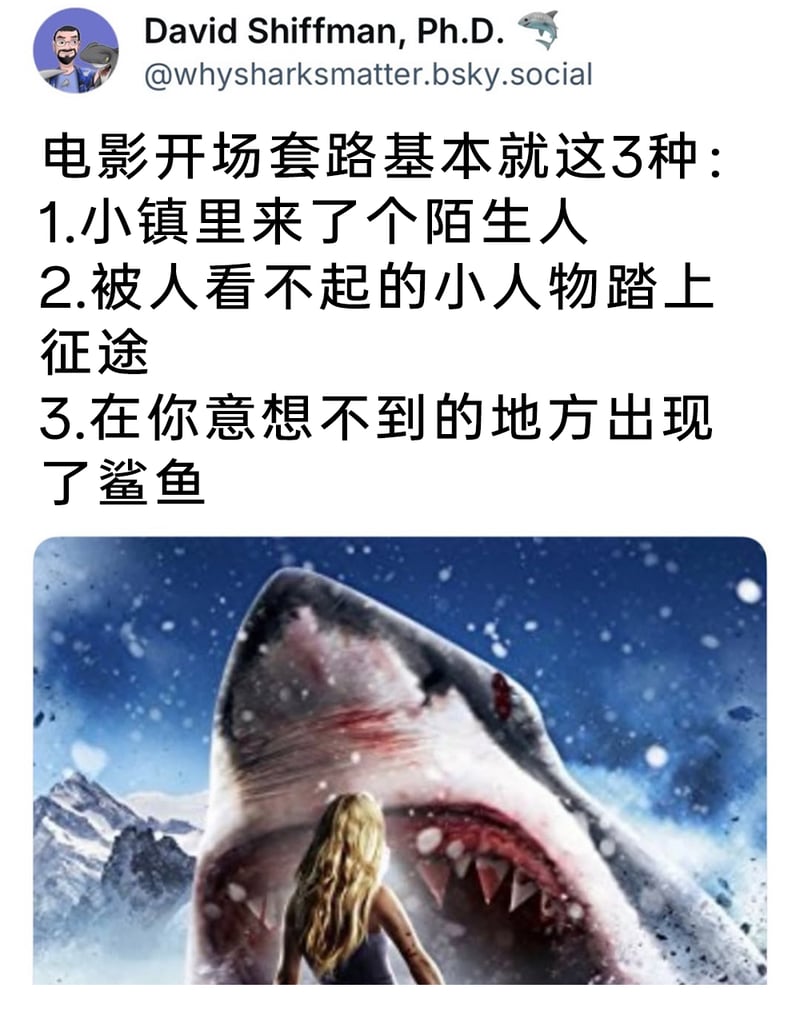 恶搞鲨鱼电影（如《鲨卷风》系列）