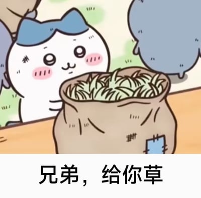 这是一张由日本动画《吉伊卡哇》的截图制作的表情包，图中角色八字猫正温和地看着面前装满草的袋子，下方配有接地气的中文配文“兄弟，给你草”，用可爱的动漫角色搭配生活化的文字，营造出搞笑又亲切的氛围，适合用来和朋友以调侃的语气互动。