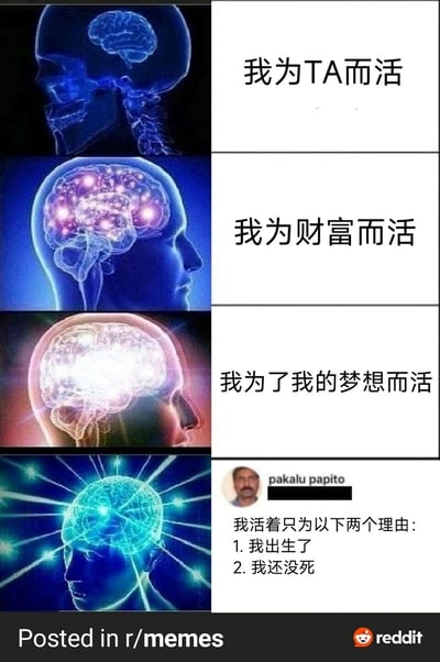 这是一张采用经典“大脑进化/升级”meme模板制作的搞笑梗图，共分为四个层级，从上到下大脑的亮度逐步提升，对应呈现了四种不同的人生追求：第一层大脑仅部分显示，配文“我为TA而活”；第二层大脑点亮区域增多，配文“我为财富而活”；第三层大脑完全高亮，配文“我为了我的梦想而活”；第四层则反套路结合了知名网络梗人物pakalu papito的头像，配文“我活着只为以下两个理由：1.我出生了 2.我还没死”，用极度直白摆烂的现实态度，和前三层看似宏大的人生追求形成强烈反差，制造出荒诞搞笑的效果，调侃了不同的人生状态。