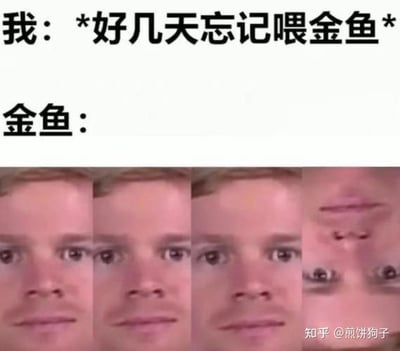 这张梗图通过上下结构呈现了一个幽默场景：上方文字描述“我：*好几天忘记喂金鱼*”，下方则是“金鱼：”，紧接着是一组四张逐渐放大的人脸特写，从完整面部到最终聚焦于眼睛和嘴巴，形成一种越来越强烈的凝视效果。这种夸张的视觉表现生动地传达了金鱼“被忘记喂食”后的强烈反应，用人类的凝视来拟人化金鱼的内心活动，制造出搞笑的反差感。