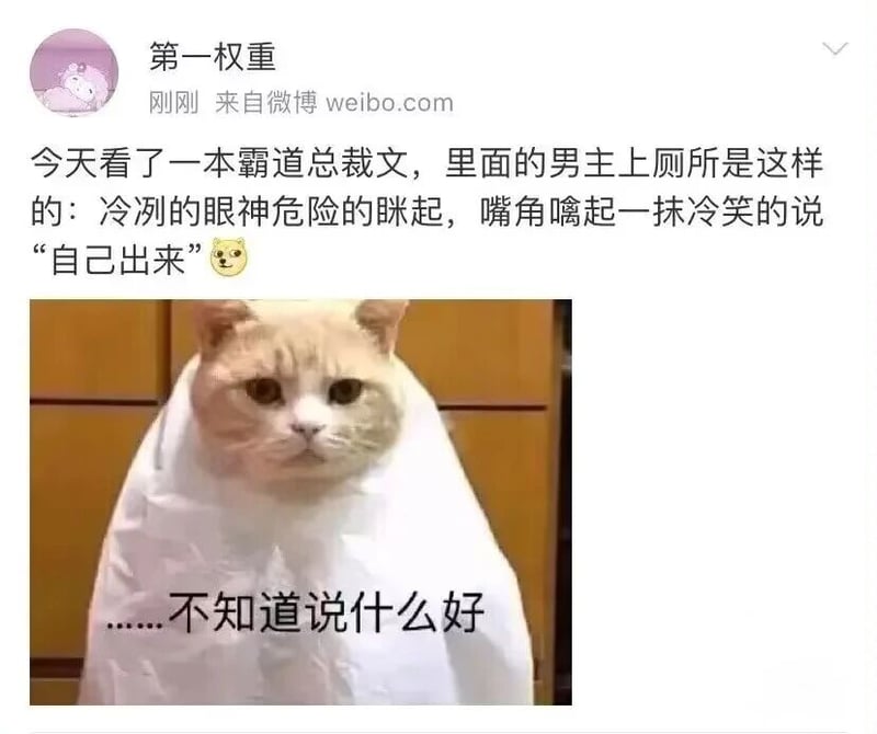 某未知霸道总裁网络小说
