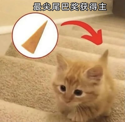 这是一张经过P图改编的趣味宠物图片，画面主体是一只坐在地毯楼梯上的软萌小橘猫，创作者将它的一只耳朵修改成了尖锐的三角形，搭配左上角标注的同款尖锐三角形图形，以及顶部的文字“最尖尾巴奖获得主”，玩了一个视觉梗——将耳朵调侃成“尾巴”，用夸张的造型和错位的调侃制造幽默效果，猫咪圆睁的眼睛和无辜的神态让画面更添趣味性。