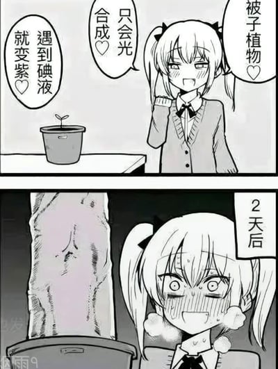 这是一张两格黑白漫画风格的梗图。上格中，双马尾少女面带得意笑容，对着一盆幼苗说出三个与植物相关的知识点：'遇到碘液就变紫♡'、'只会光合作用♡'、'被子植物♡'，展现出对植物养护的自信。下格标题为'2天后'，画面中少女表情惊恐崩溃，背景里的植物已枯萎，形成强烈反差，幽默地表现了'植物杀手'的日常，自信满满的养护最终以植物枯萎收场。
