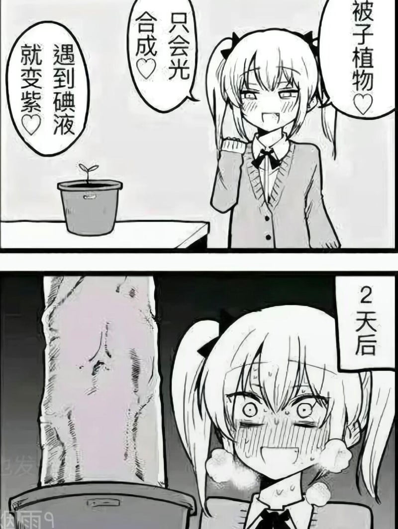 双马尾少女