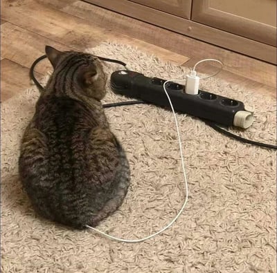 一只虎斑猫正坐在米白色的地毯上，全神贯注地研究着一个黑色的插线板。猫咪的身体蜷缩着，耳朵竖起，尾巴自然垂下，表现出对这个日常电器的强烈好奇心。插线板上插着一个白色的充电器，周围散落着几根电线。背景中可以看到木质地板和橱柜的底部，整个场景呈现出温馨的居家氛围。