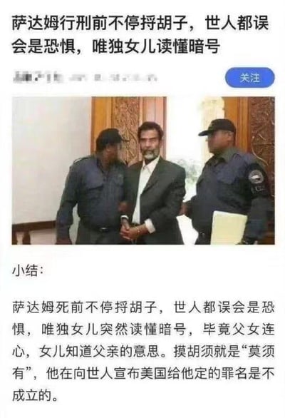这是一张来自社交媒体平台的图文混排内容，上方是萨达姆被两名身着制服的人员架着的真实照片，萨达姆双手被束缚，神情凝重；下方配有文字内容，称世人普遍认为萨达姆行刑前不停捋胡子是恐惧的表现，只有他的女儿读懂这是特殊暗号。
这里使用了谐音梗，“摸胡须”和“莫须有”发音相近，以此构建暗示含义，用来表达萨达姆认为自己的罪名不成立的解读。
