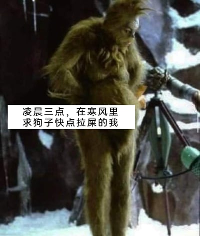 这是一张搞笑共鸣类梗图，画面主体是电影《圣诞怪杰》中的角色格林奇，他浑身毛发炸起，双手抱胸蜷缩着身体，姿态瑟缩可怜，背景是飘着雪的寒冷户外环境。图中叠加了白色文字条，内容为“凌晨三点，在寒风里求狗子快点拉屎的我”，用格林奇在冷风中的狼狈状态，精准比喻铲屎官在凌晨寒冷时段，无奈等待自家宠物排便的窘迫、辛酸又好笑的日常，完美戳中养宠人士的真实经历，充满共情效果。
