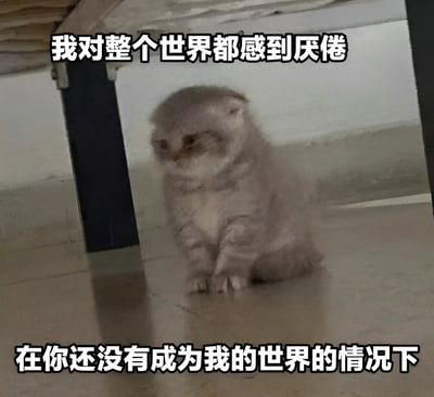 图片中是一只灰色虎斑猫蹲坐在瓷砖地面上，眼神低垂，表情显得倦怠而无精打采。图片上方配有文字“我对整个世界都感到厌倦”，下方则是“在你还没有成为我的世界的情况下”，通过猫咪慵懒的神态与略带戏剧性的文字结合，形成一种幽默的反差感，常用于表达对日常的疲惫或调侃式的浪漫情绪。