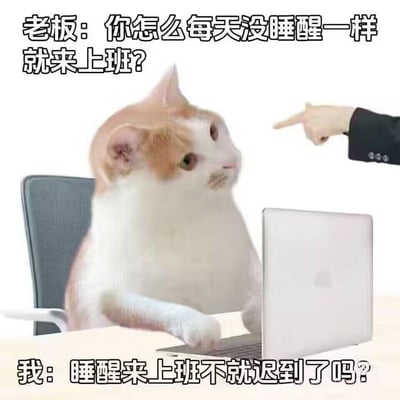 这是一张职场吐槽类表情包，画面中一只真实猫咪被修图成坐在办公椅上、对着笔记本电脑上班的样子，一旁老板的手指着它进行指责。配文呈现了一段扎心对话：老板质问“你怎么每天没睡醒一样就来上班？”，猫咪（代表打工人）灵魂反问“睡醒来上班不就迟到了吗？”，精准戳中打工人为了不迟到，不得不带着困意赶去上班的无奈心酸，用幽默的方式吐槽职场通勤的压力。