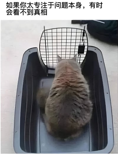 图片展示一只猫咪正坐在灰色猫砂盆中，其头部和上半身被猫砂盆上方的黑色网格状盖子覆盖，从上方视角看去，猫咪似乎专注于眼前的网格结构。图片顶部配有文字：“如果你太专注于问题本身，有时会看不到真相”，通过猫咪与网格盖的场景，隐喻人们在面对问题时若过度聚焦细节，可能会忽略更宏观的真相或解决方法。
