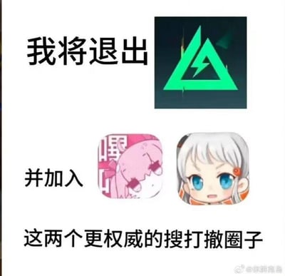 这是一张图文混排的游戏玩梗图，采用上下排版的多图拼接形式，搭配文字进行调侃。上方是射击游戏《Apex英雄》的图标，配文“我将退出”；下方依次是《少女前线：云图计划》的“嘿咻”Q版表情包图标、《蔚蓝档案》的白子Q版图标，配文“并加入这两个更权威的搜打撤圈子”。
这里的“搜打撤”是射击游戏中“搜索-打击-撤退”的玩法缩写，用“更权威”来形容两款主打养成、剧情的二次元游戏，形成强烈反差，属于玩家玩梗，表达对这两款二次元游戏的喜爱或是对《Apex英雄》的调侃，制造出搞笑的效果。