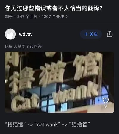 知乎平台上一个关于“错误翻译”的问答截图，用户“wdvsv”分享了一个离谱的翻译案例：某店铺招牌“撸猫馆”（本意为可供顾客抚摸猫咪的咖啡馆）被错误翻译成“Cat Wank”。图中展示了该招牌的实拍照片，下方配有文字解释翻译逻辑：“撸猫馆”直译成“cat wank”，而“wank”在英文中意为“手淫”，导致翻译结果变成极具不雅含义的“猫撸管”。该回答获得608人赞同，成为网友热议的搞笑翻译名场面。