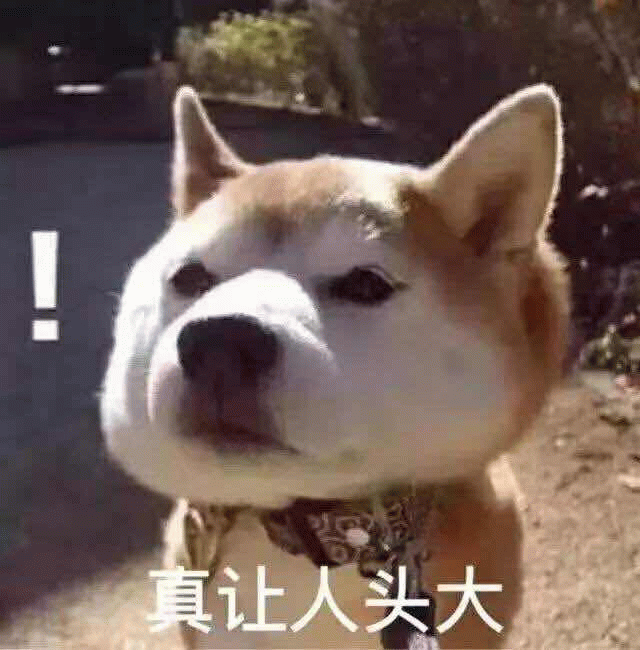 头大柴犬表情包：真让人头大