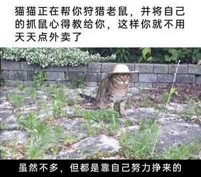 这是一张拟人化的搞笑自嘲梗图，画面主体是一只被加上草帽的狸花猫，它蹲在长有杂草的石板地面上，神态严肃，仿佛正专注于“狩猎老鼠”。图的上方配文以拟人化的视角，调侃猫咪要传授“抓鼠心得”，让观看者不用再点外卖；下方配文则自嘲式地表示，靠自己努力得到的东西虽然不多，但都是辛苦所得。整张图用猫咪的可爱形象结合打工人的自嘲心境，制造出幽默反差，精准戳中当代人努力打拼却收获有限的共鸣点。