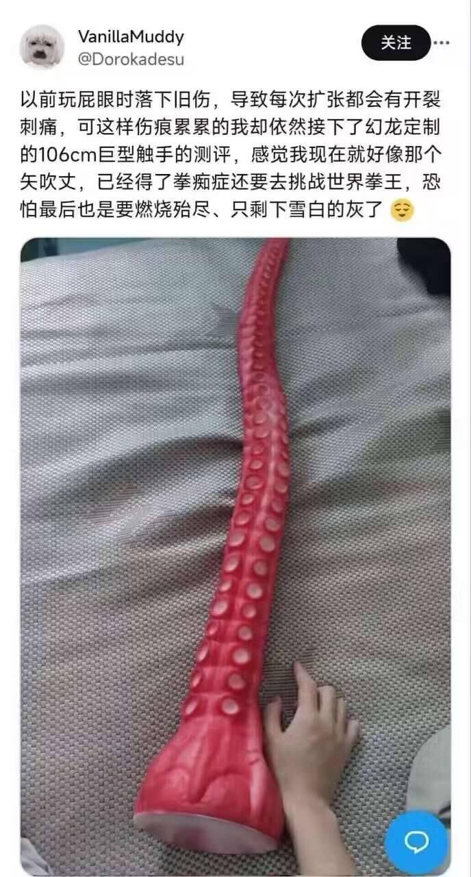 明日之丈
